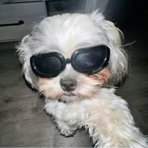 Meet your Posher, Braylon